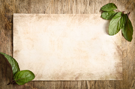 The piece of old paper lying on a wooden table with mint leaves from two cornersの写真素材