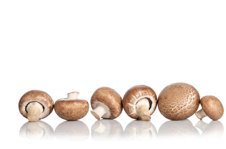 fresh champignon mushrooms isolated on whiteの写真素材