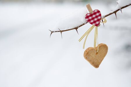 Snow-covered branch decorated with Heart-shaped cookie.の写真素材
