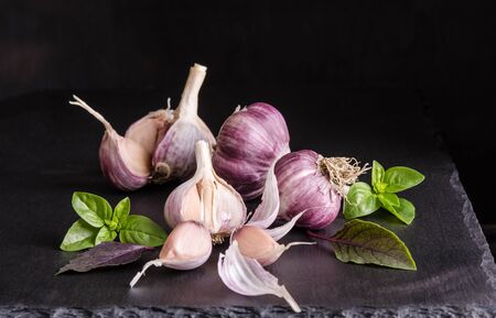Leaves of basil and garlic on black stone table on black backgroundの写真素材