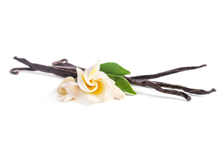 Beautiful flowers and natural vanilla  isolated on whiteの写真素材