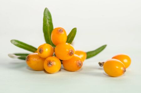 Sea buckthorn with green leafの写真素材