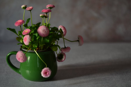 Delicate daisy flowers. A bouquet of garden flowers.の写真素材