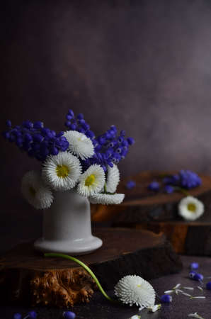 Delicate daisy flowers. A bouquet of garden flowers.の写真素材