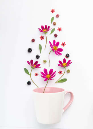 Berries and flowers over a cup. Composition on a white background.の写真素材