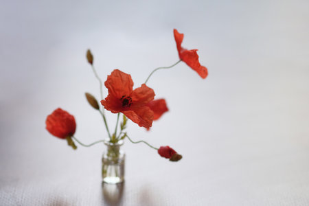 Bouquet of flowers. Red poppies are wild flowers. glass bottle.の写真素材