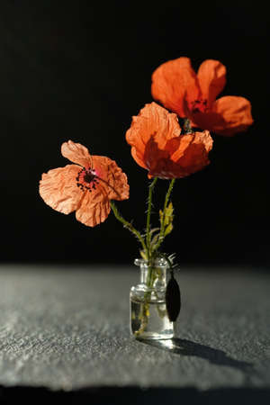 Bouquet of poppies. Shadow on a black stone surface.