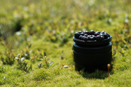 Still life of juicy blueberries in the middle of a meadow. Blueberries are laid out on a photo lens.