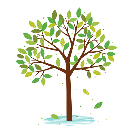 Summer tree with green leaves isolated on white backgroundのイラスト素材