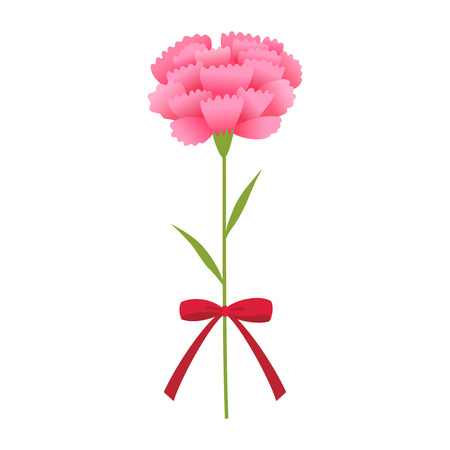 Pink carnation flower with ribbonのイラスト素材