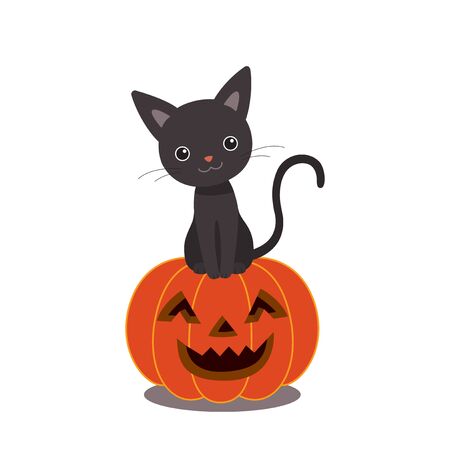 Cute black cat sitting on Halloween pumpkinのイラスト素材