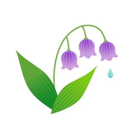 Lily of the valley isolated on white backgroundのイラスト素材