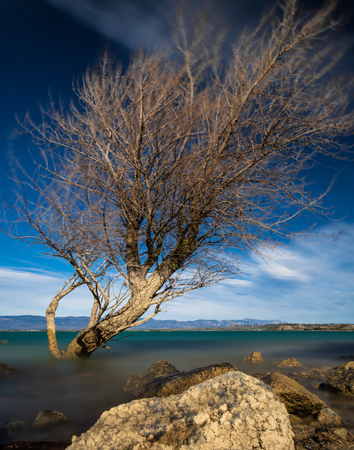 nice tree in lake long exposureの写真素材