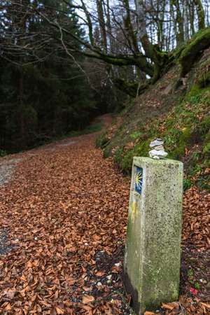 stretch of the santiago's way with beautiful leaves and stonesの写真素材