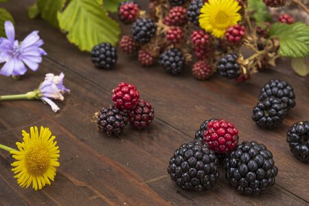 black and red berries with yellow and purple flowersの写真素材