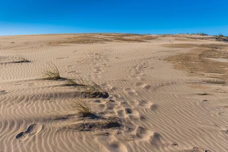 sand dunes in the desert with a human footprintの写真素材