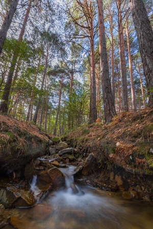 Autumn landscape with a waterfall and very high trees in the Moncayo natural parkの写真素材