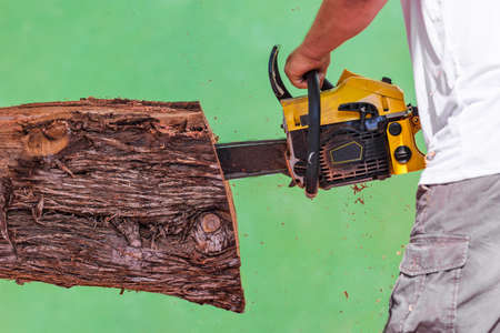 Man cutting a log with a chainsaw without gloves or safety elements on a green chroma backgroundの写真素材