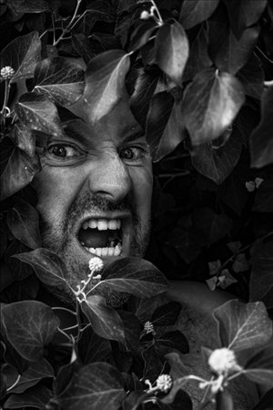 Wild man camouflaged among leaves, black and white photoの写真素材