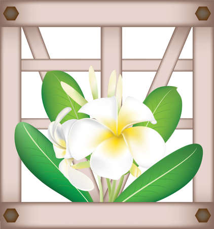 Fragipani on windowのイラスト素材