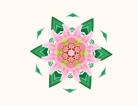 Flower style modern isolateの写真素材