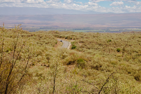 View of Masai Mara National Park, Kenya, Africa, Africaの写真素材
