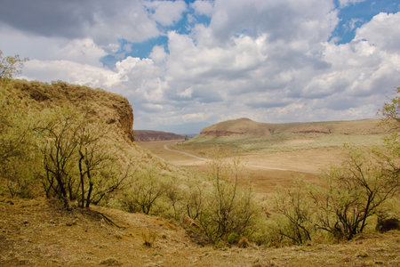 Beautiful landscape of the steppes of Hells gate National Park, Kenya, Africaの写真素材