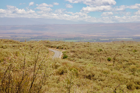 Road in the desert of Africa, Kenya,, East Africaの写真素材