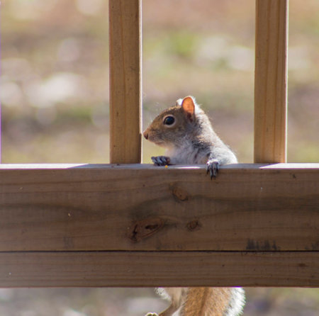 turn to the sideの写真素材