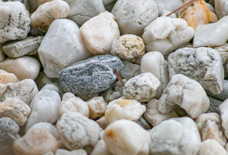 A path of rock.の写真素材