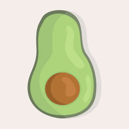 Bright avocado vector illustration. Fresh cartoon vegetable isolated on white background. The illustration is used for magazine, book, poster, postcard, menu cover, web pages.のイラスト素材