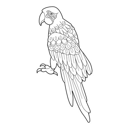 Contour linear illustration for coloring book with decorative parrot. Beautiful bird, anti stress picture. Line art design for adult or kids in zen-tangle style, tatoo and coloring page.のイラスト素材