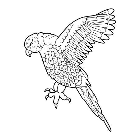 Contour linear illustration for coloring book with decorative parrot. Beautiful bird, anti stress picture. Line art design for adult or kids in zen-tangle style, tatoo and coloring page.のイラスト素材