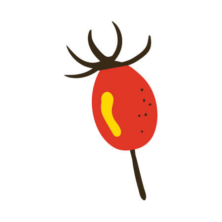 rosehip. Vector illustration with doodles on the theme of cozy autumn.A cute element for greeting cards, posters, stickers and seasonal design. isolated on a white background.のイラスト素材