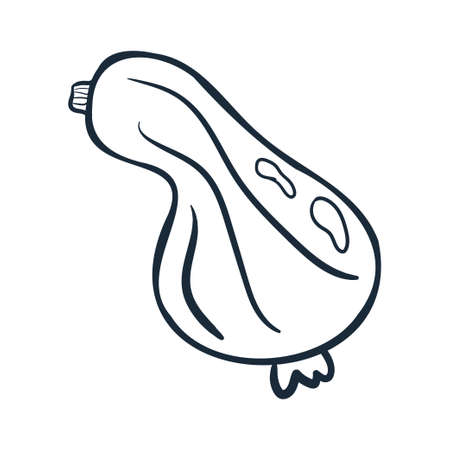 pumpkin line art. Vector illustration with doodles on the theme of cozy autumn.A cute element for greeting cards, posters, stickers and seasonal design. isolated on a white background.のイラスト素材