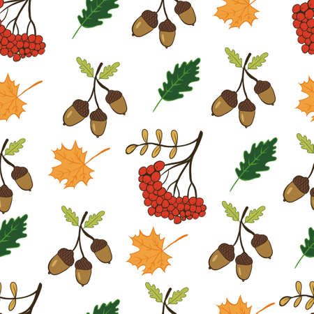 Cute autumn pattern with leaves, acorns and mountain ash. Vector illustration with doodles on the theme of cozy autumn for interior decoration, printing posters, greeting cards, business bannersのイラスト素材