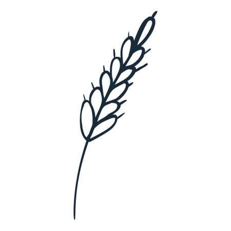 ear line art. Vector illustration with doodles on the theme of cozy autumn.A cute element for greeting cards, posters, stickers and seasonal design. isolated on a white background.のイラスト素材