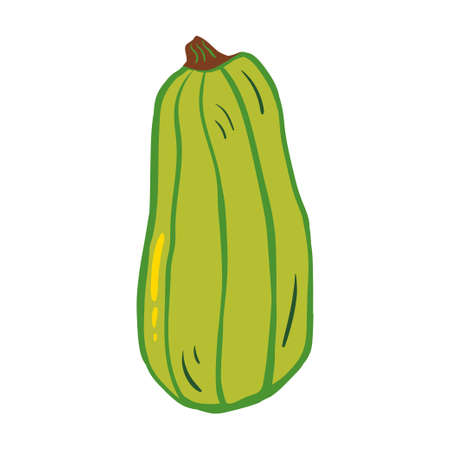 Pumpkin. Vector illustration with doodles on the theme of cozy autumn.A cute element for greeting cards, posters, stickers and seasonal design. isolated on a white background.のイラスト素材