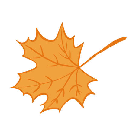 maple leaf. Vector illustration with doodles on the theme of cozy autumn. A cute element for greeting cards, posters, stickers and seasonal designs. isolated on a white backgroundのイラスト素材