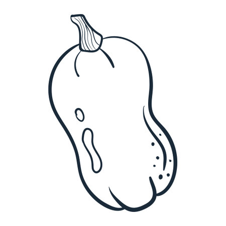 pumpkin line art. Vector illustration with doodles on the theme of cozy autumn.A cute element for greeting cards, posters, stickers and seasonal design. isolated on a white background.のイラスト素材