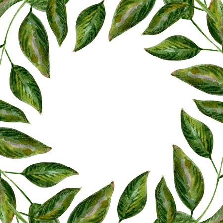 Vibrant foliage frames the illustration with botanical flair. Nature's beauty captured in soft green tones. Perfect for invitations or templates.の写真素材