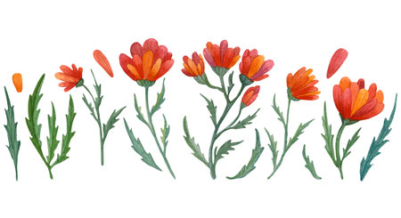 Watercolor hand drawn isolated elements on white background: red flowers, green leaves and red petalsの写真素材