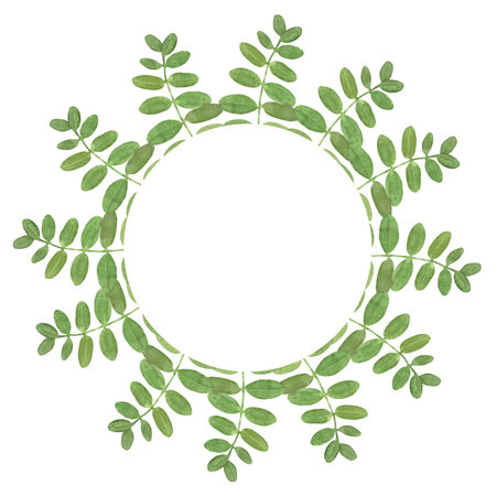 Watercolor circle frame of acacia green leavesの写真素材