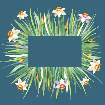 Watercolor square frame with green grass and white flowers. Jonquil, daffodil and narcissus. The wreath is perfect for invitations, cards and other projectsの写真素材