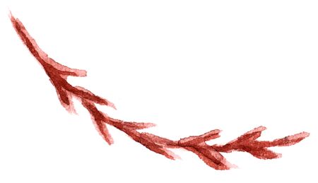 Hand Drawn Isolated  Leaf Floral Elementの写真素材