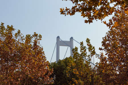 golden gate bridge day time shot in china
