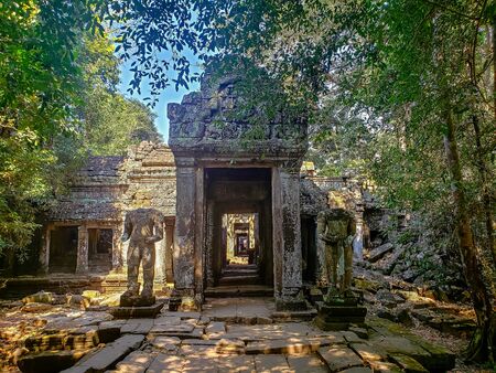 Angkor Wat temple tourism visitの写真素材