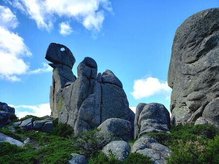 curious stones with dinosaurs shape during a hike close to madrid spainの写真素材