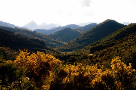 Asturias, Spain, June 22, 2020: European hill mountainsの写真素材