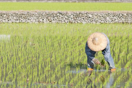 farmerの写真素材